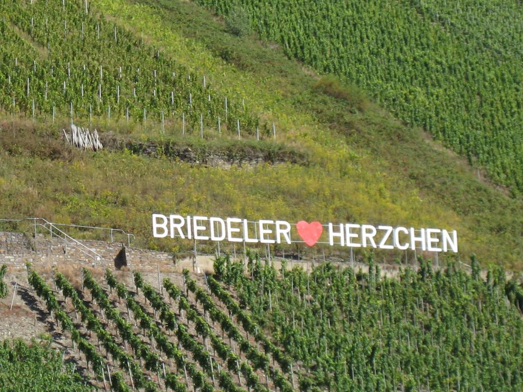Weingut Goeres Hotel Briedel Værelse billede