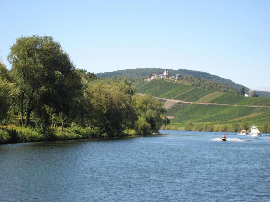 Weingut Goeres Hotel Briedel Eksteriør billede